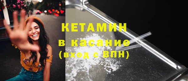 индика Нягань