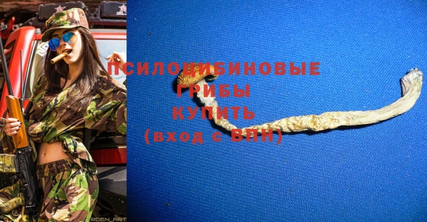 прущие грибы Алексеевка