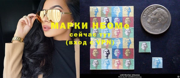 индика Нягань